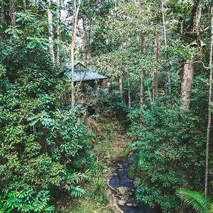 Narrows Escape Rainforest Retreat , Montville Australia